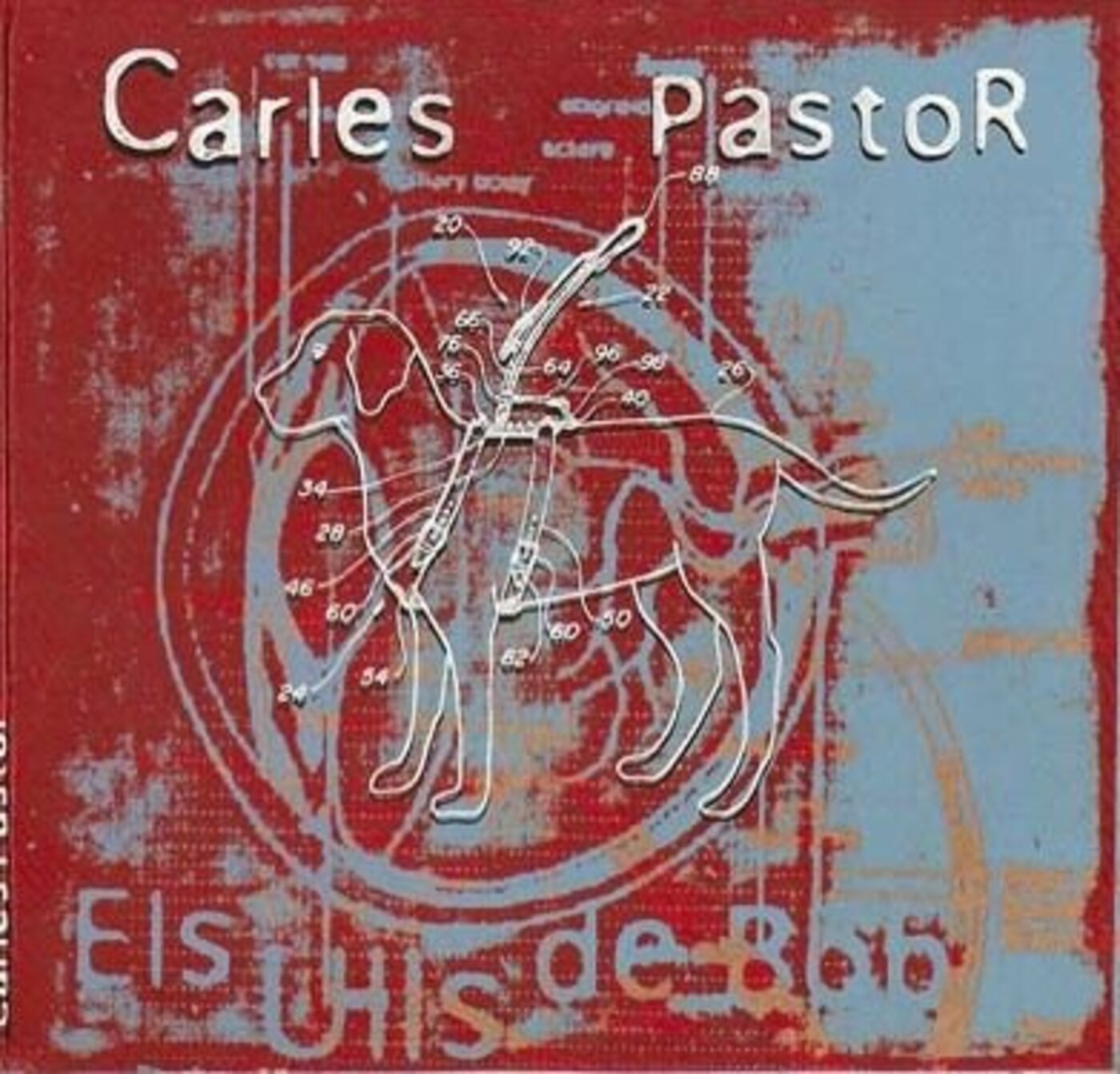 Carles Pastor - Els ulls de Bob | musica en valencià