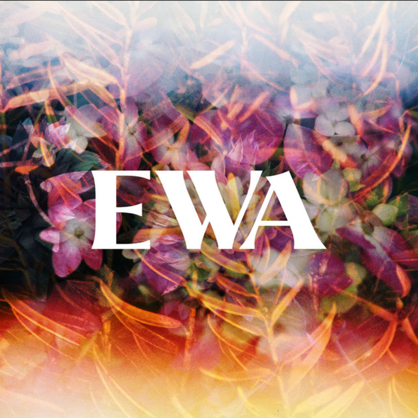Novembre Elèctric - Ewa | musica en valencià
