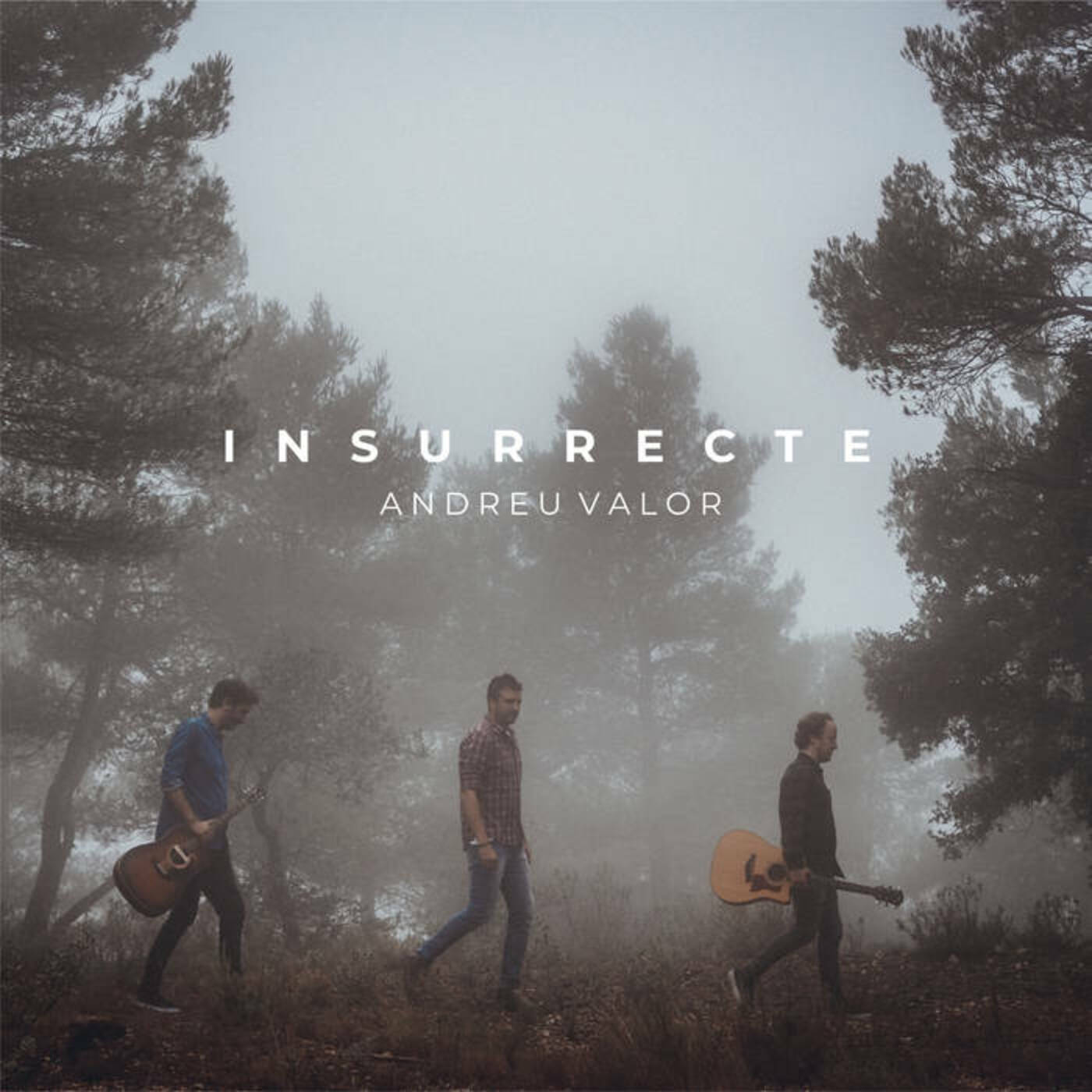 Andreu Valor - Insurrecte | musica en valencià