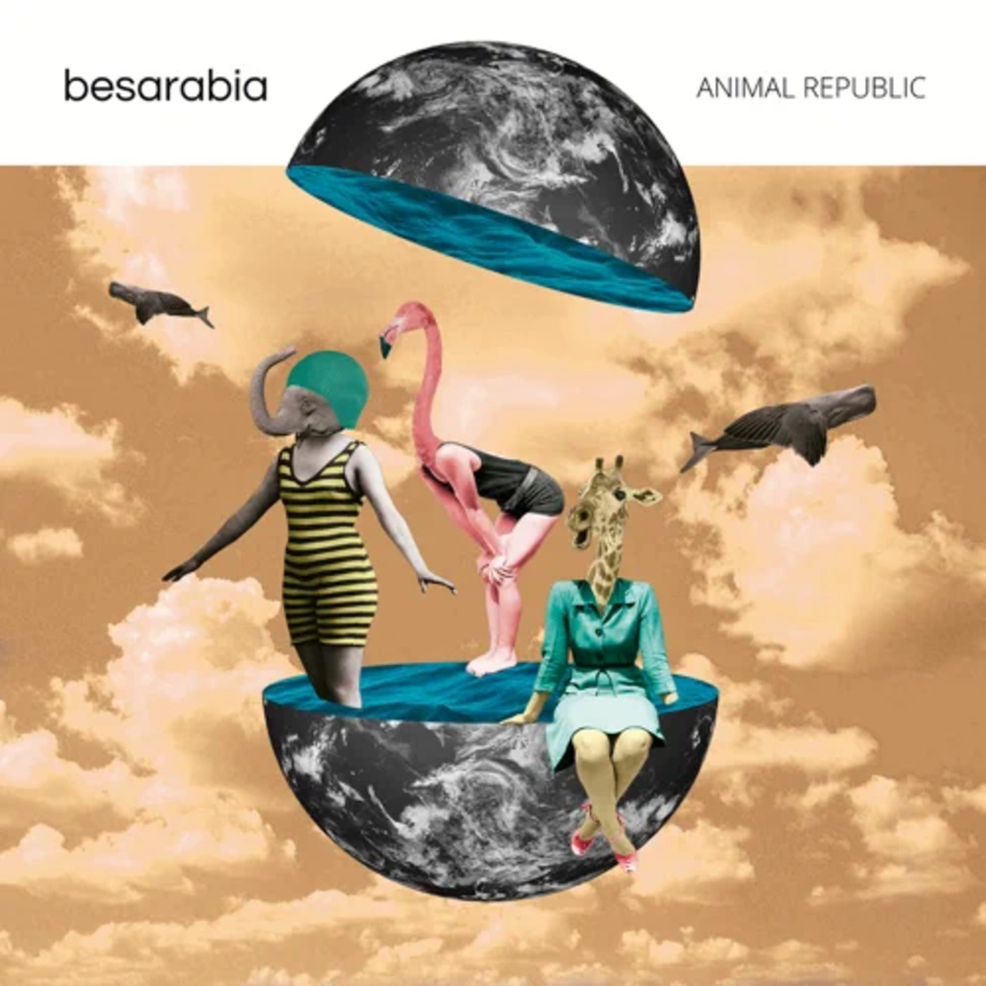 Besarabia - Animal Republic | musica en valencià