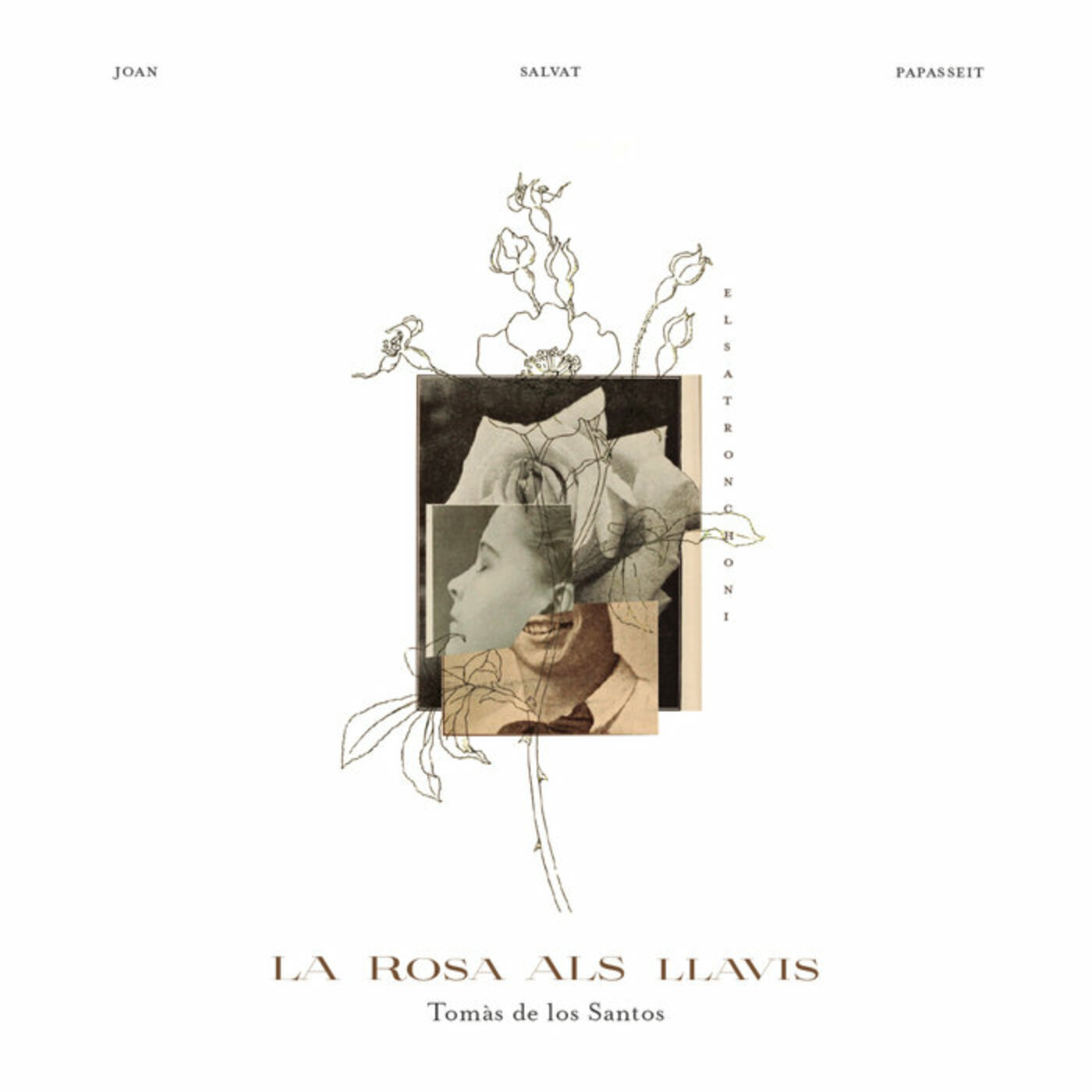 Tomàs de los Santos - La rosa als llavis | musica en valencià