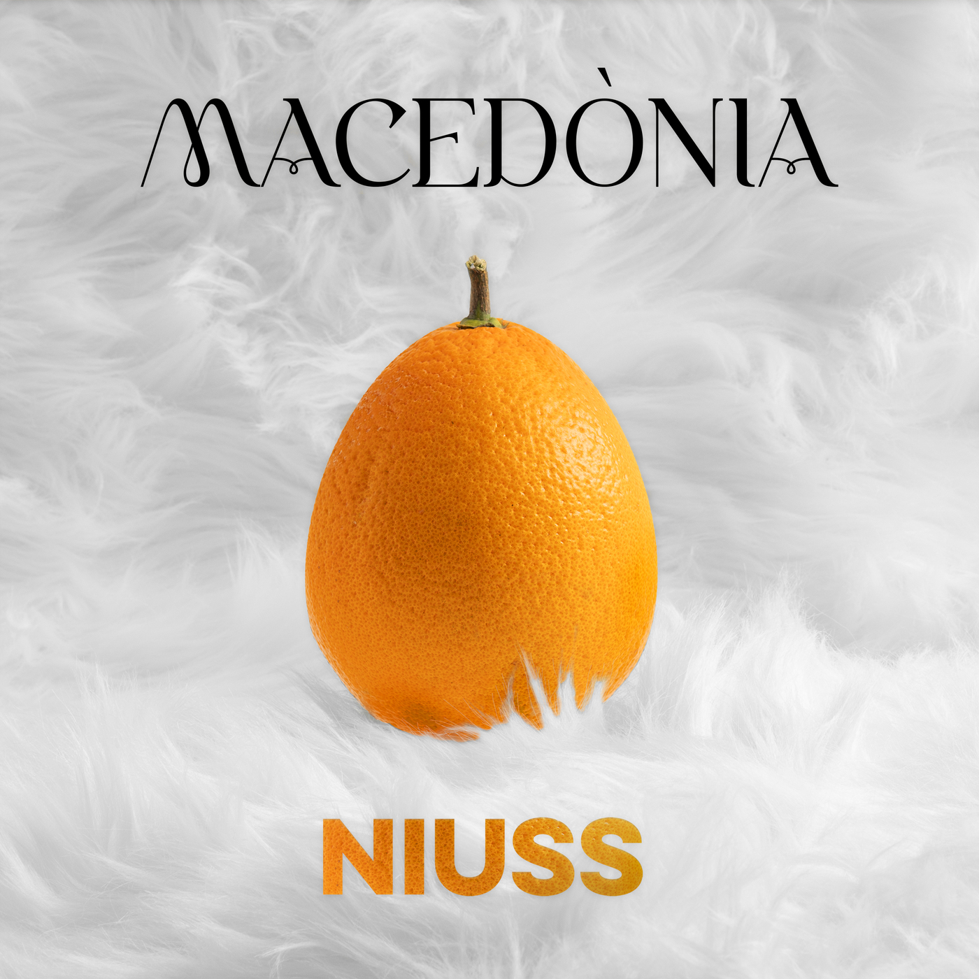 Niuss - Macedònia | musica en valencià