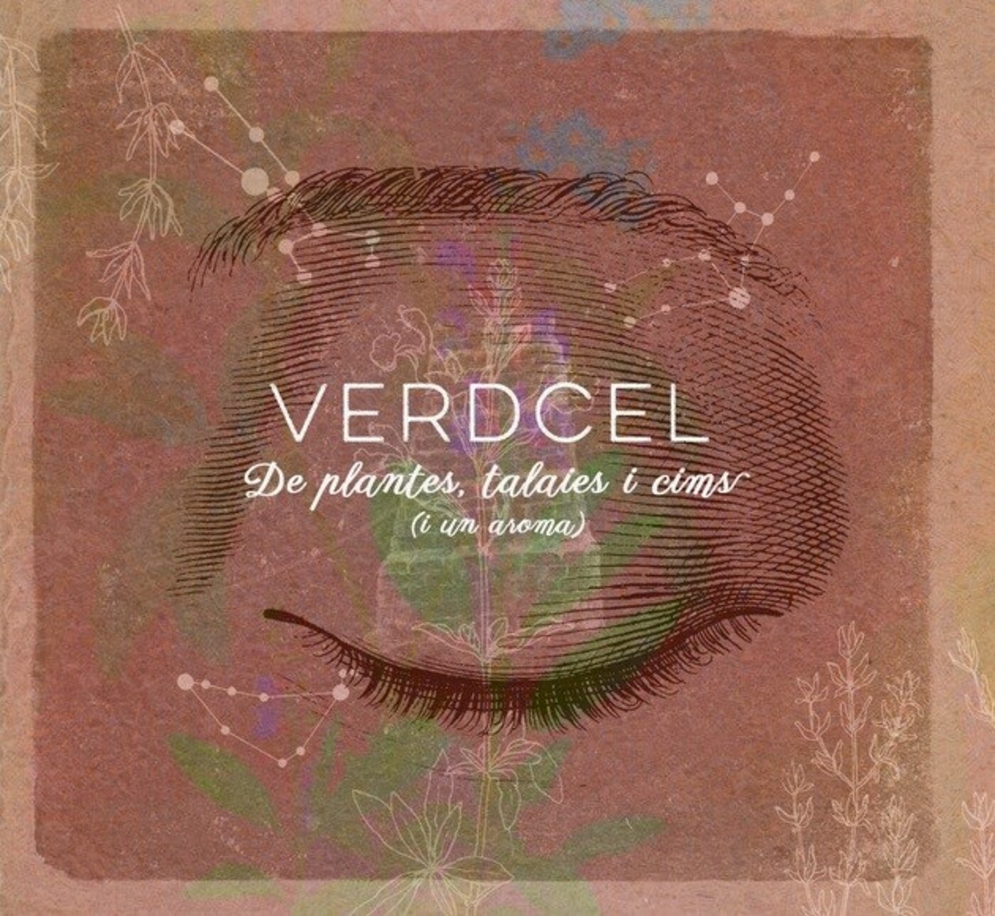Verdcel - De plantes, talaies i cims (i un aroma) | musica en valencià