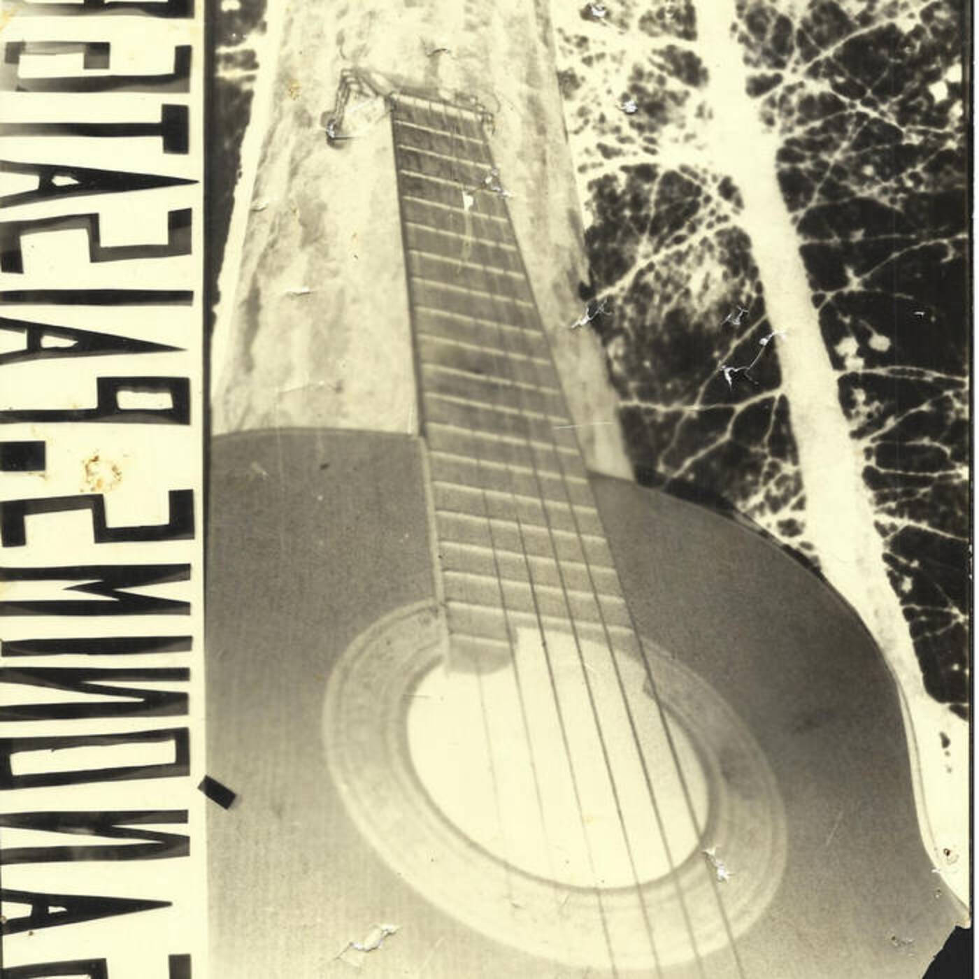 Lluís Vicent - Els paisatges anònims (Rare edition) | musica en valencià