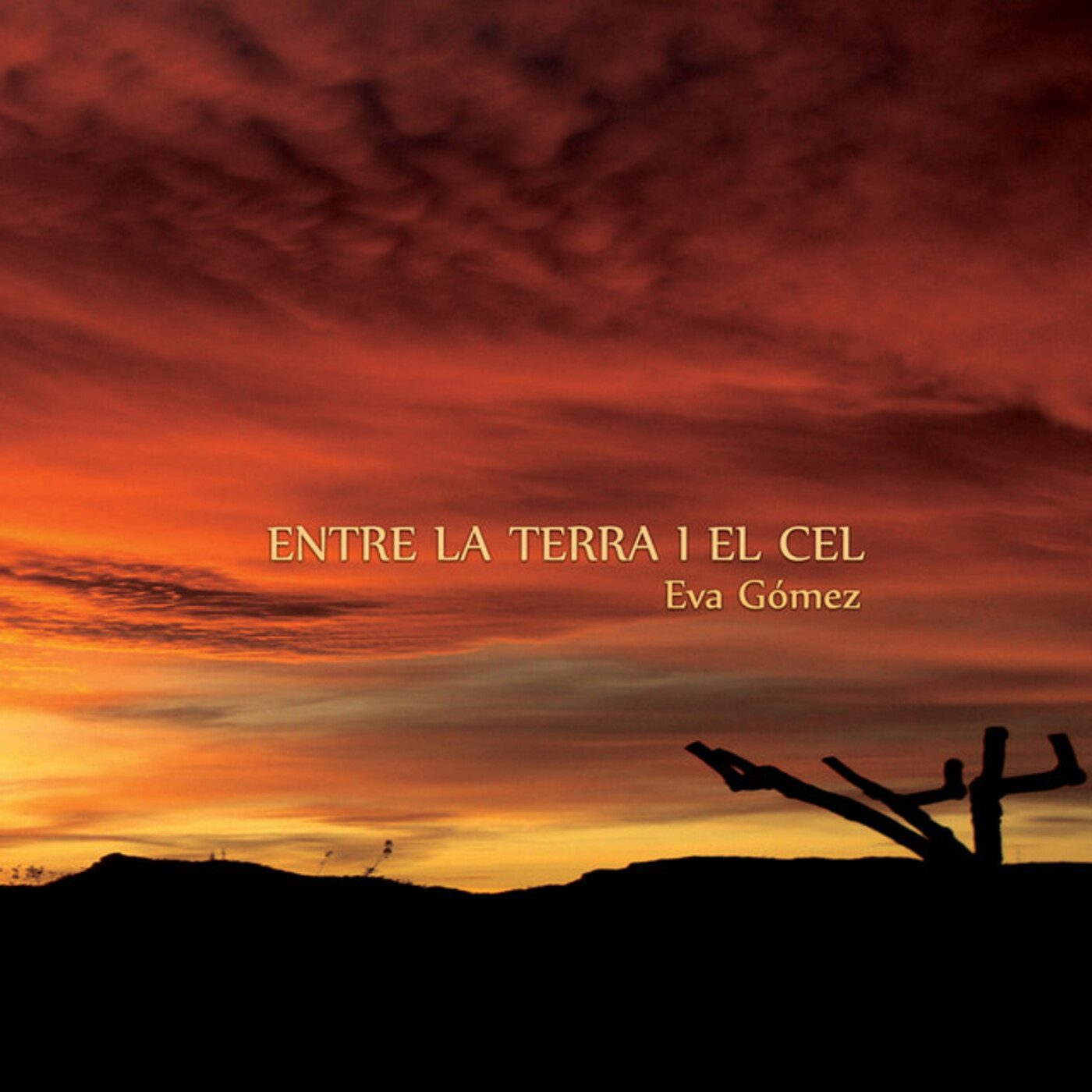 Eva Gómez - Entre la terra i el cel | musica en valencià