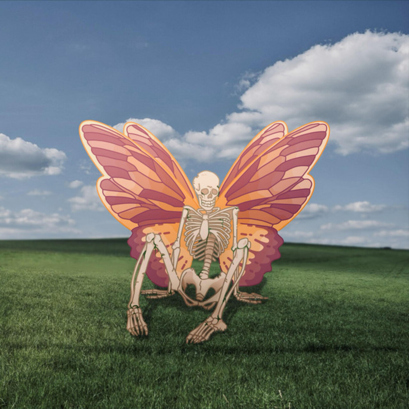 Splash Roasters - Canya, canya i canya! | musica en valencià