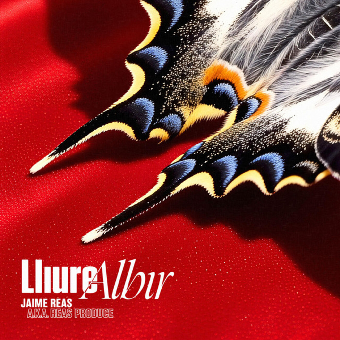 Jaime Reas - Lliure albir | musica en valencià