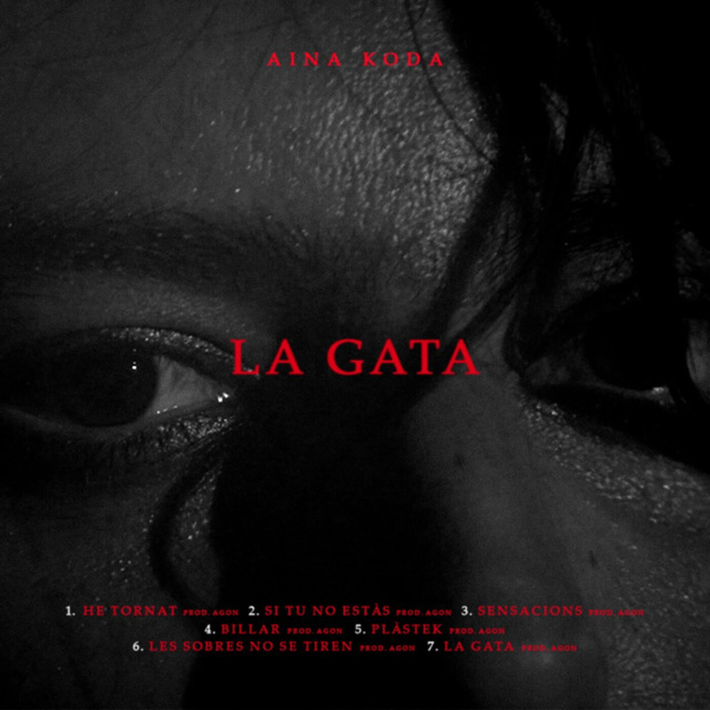 Aina Koda - La gata | musica en valencià