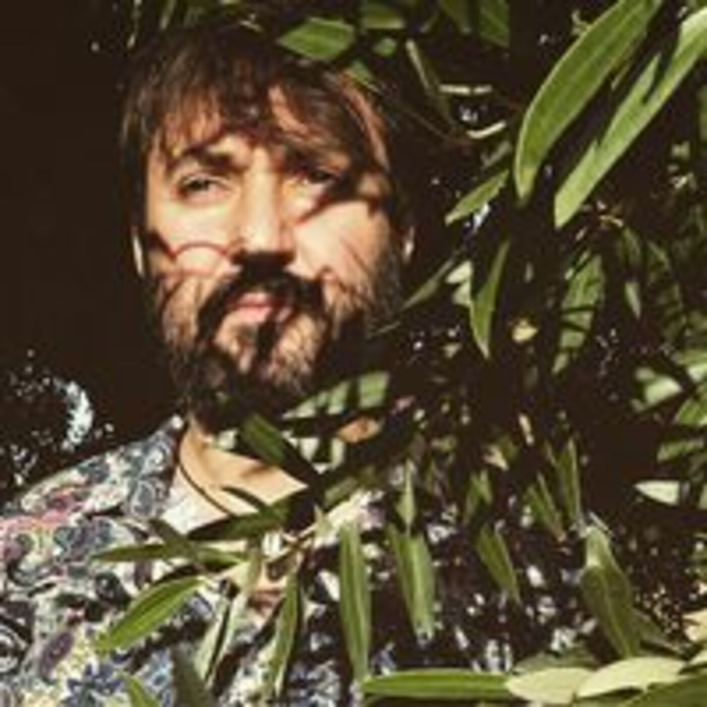 L'Home Estàndard | musica en valencià