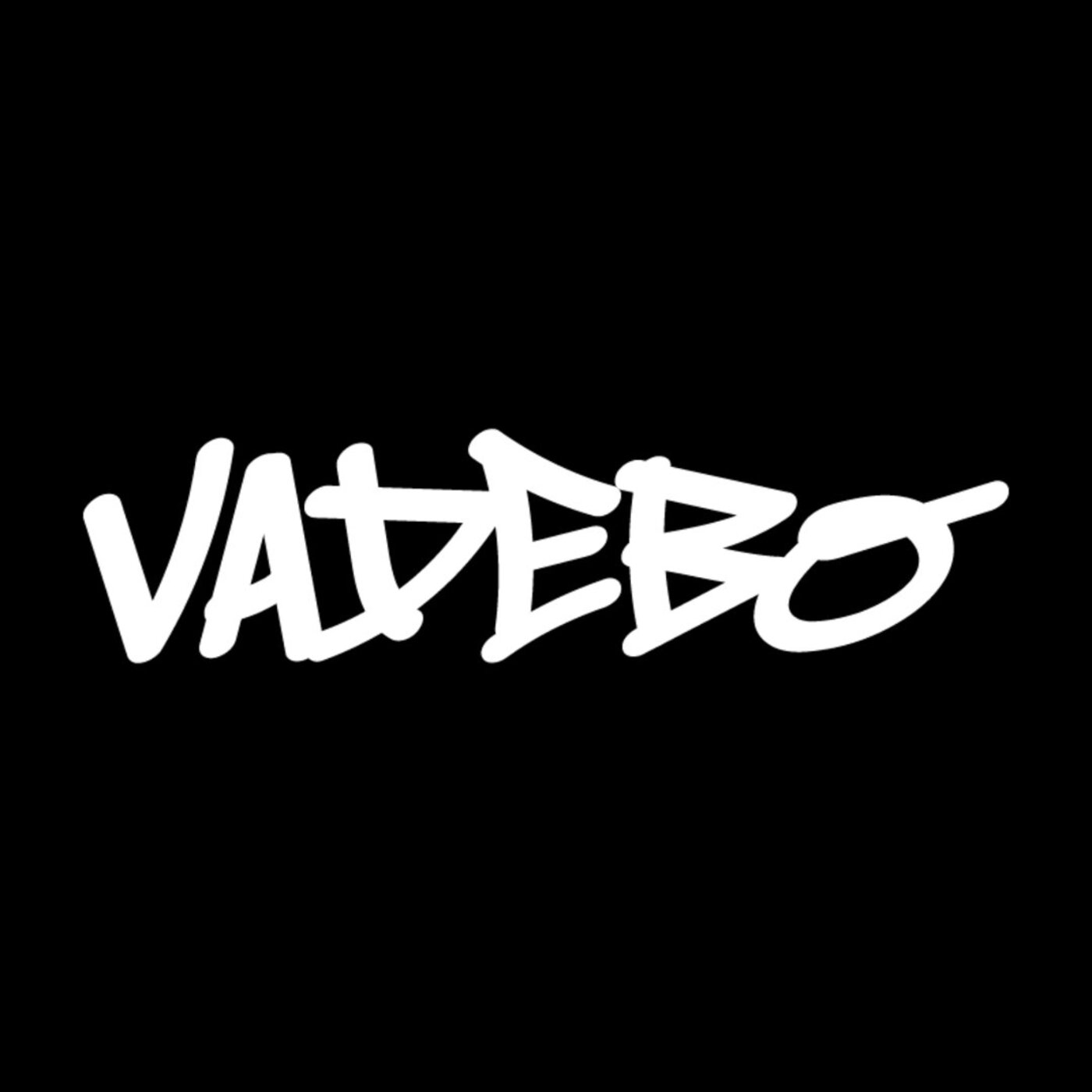Vadebo | musica en valencià